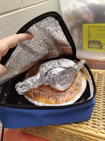 Fish and Vegetables for Lunch: Hot Logic Thermal Bag Demo –  TheBrownBagBlogger